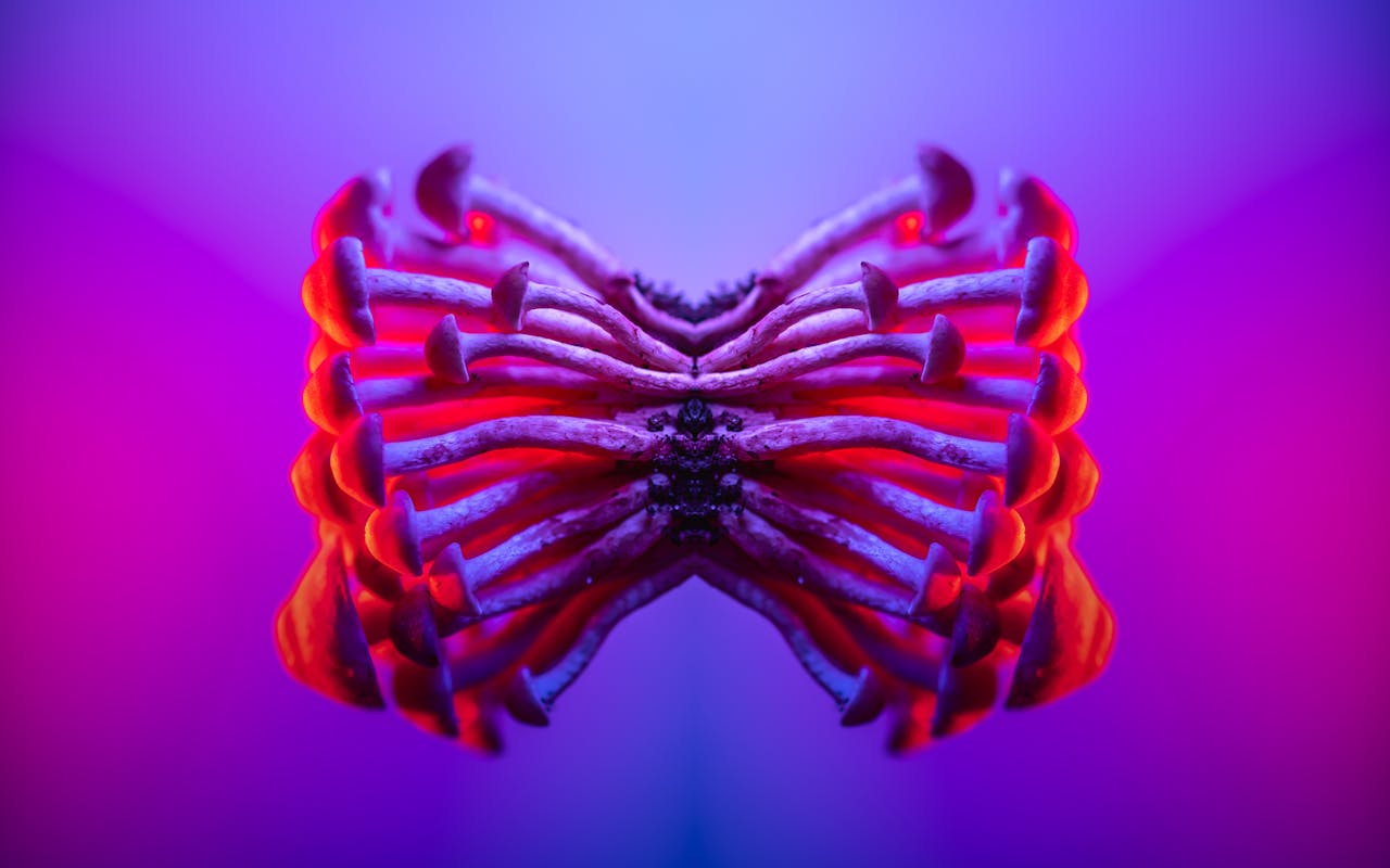 Psychedelic SEO in 2026 What's Actually Working When the Niche Gets Buried by Default