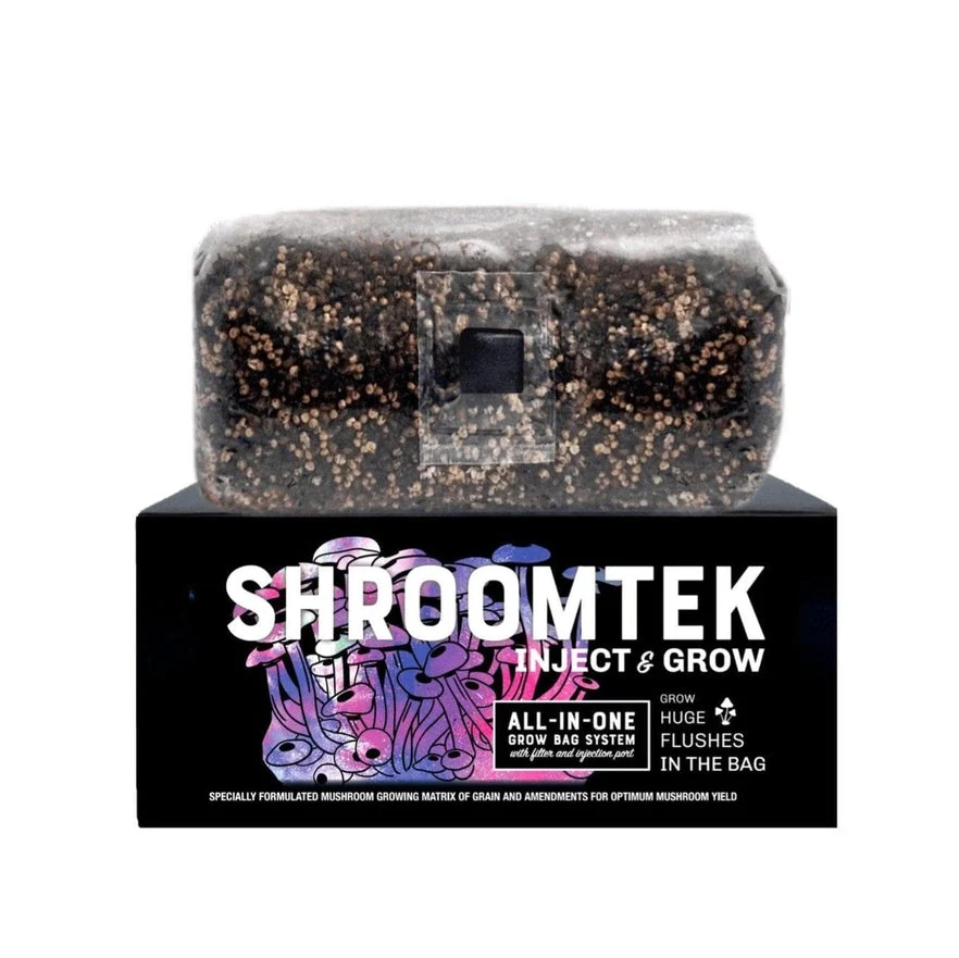 Shroomtek Grow Bags in Worcester, MA: Where to Buy Mushroom Grow Kits Locally